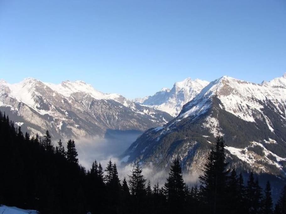 Charming Penthouse Lauterbrunnen Exterior foto